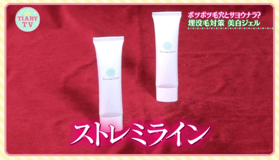 �X�g���~���C��,�h���b�O�X�g�A