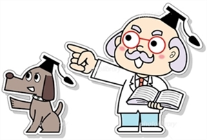 ��񂩁[�ނŖ��ʖi�����Ȃ��Ȃ�����������񂪑��o���I��̂ǂ����ĂȂ́H