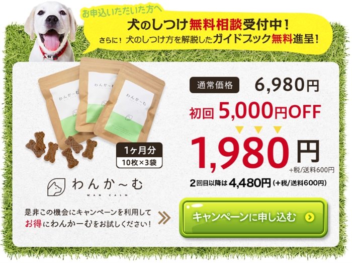 ��񂩁[�ނŖ��ʖi�����Ȃ��Ȃ�����������񂪑��o���I��̂ǂ����ĂȂ́H