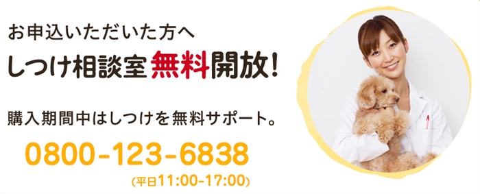 ��񂩁[�ނŖ��ʖi�����Ȃ��Ȃ�����������񂪑��o���I��̂ǂ����ĂȂ́H