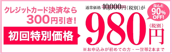 �s�[�`���[�Y 980�~