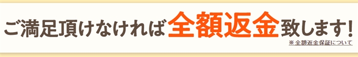 �h�N�^�[�x�W�t���` �h���b�O�X�g�A