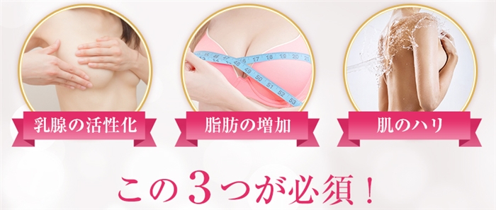 �G���o�X�g���b�`�W�F���̉摜