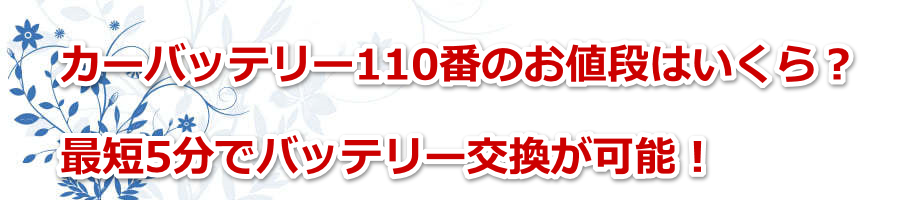 �J�[�o�b�e���[110�Ԃ̂��l�i�͂�����H�ŒZ5���Ńo�b�e���[�������\�I