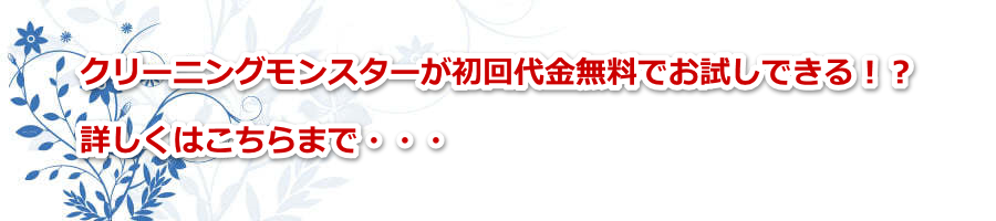 �N���[�j���O�����X�^�[�������������ł������ł���I�H�ڂ����͂�����܂ŁE�E�E