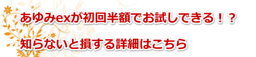 �����ex�����񔼊z�ł������ł���I�H�m��Ȃ��Ƒ�����ڍׂ͂�����