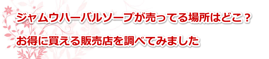 �W�����E�n�[�o���\�[�v�������Ă�ꏊ�͂ǂ��H�������ɔ�����̔��X�𒲂ׂĂ݂܂���