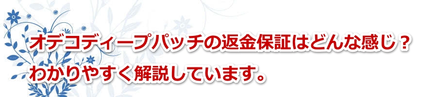 �I�f�R�f�B�[�v�p�b�`�̕ԋ��ۏ؂͂ǂ�Ȋ����H�킩��₷��������Ă��܂��B