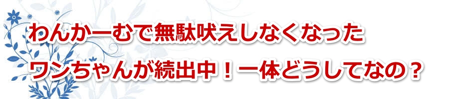 ��񂩁[�ނŖ��ʖi�����Ȃ��Ȃ�����������񂪑��o���I��̂ǂ����ĂȂ́H