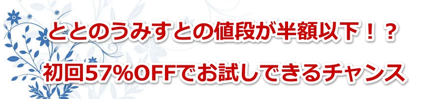 �ƂƂ̂��݂��Ƃ̒l�i�����z�ȉ��I�H����57��OFF�ł������ł���`�����X