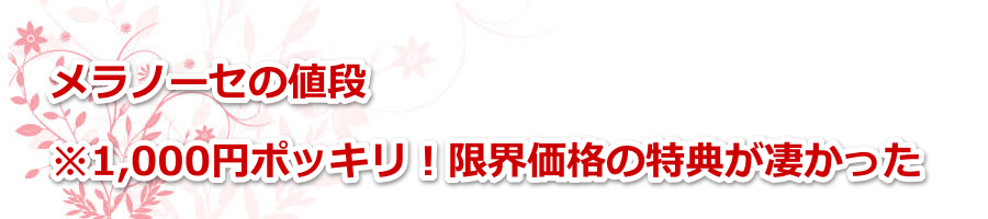 �����m�[�Z�̒l�i��1,000�~�|�b�L���I���E���i�̓��T����������