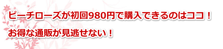 �s�[�`���[�Y������980�~�ōw���ł���̂̓R�R�I�����Ȓʔ̂��������Ȃ��I