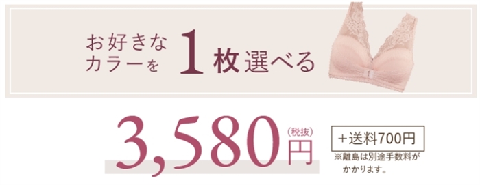 ルルクシェルの育乳ブラを買うと巾着が貰える?【お買い得情報はこちら】