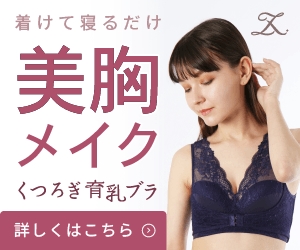 ルルクシェルの育乳ブラを買うと巾着が貰える?【お買い得情報はこちら】